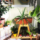 TCP LED Grow Kit with Light Rail, Timer, and Collapsible Pot – Full Spectrum LED Grow Light for Indoor Plants and Seedlings