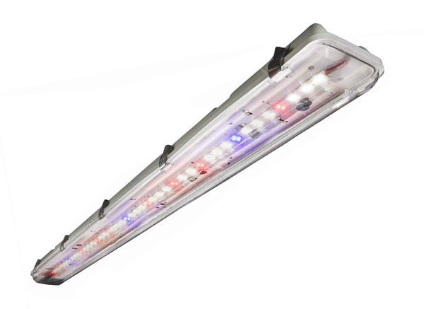 Horticulture LED Vapor Tight All Purpose Growth - 4', 100W