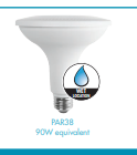 ProLine LED P38 Lamp - 4.8", 13W, 30K